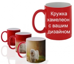 Кружка хамелеон с вашим дизайном красная ― Интернет-магазин оригинальных подарков Tuk-i-tuk.ru