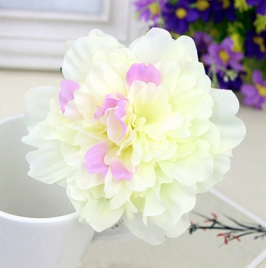 Заколка + брошь "Белый цветок"    ― Интернет-магазин оригинальных подарков Tuk-i-tuk.ru