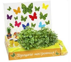 Живая открытка "Хорошего настроения!"  ― Интернет-магазин оригинальных подарков Tuk-i-tuk.ru